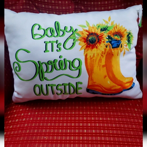 Not sure Other - Accent pillow 13" x 18" - Baby its Spring Outside- NWT